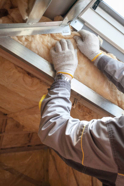 Best Insulation Maintenance and Repair in Linden, TX