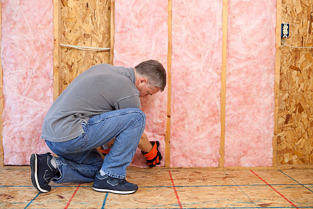 Best Residential Insulation in Linden, TX